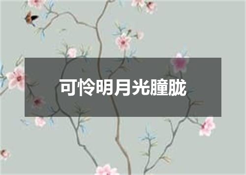 可怜明月光朣胧