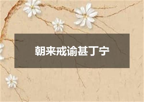 朝来戒谕甚丁宁