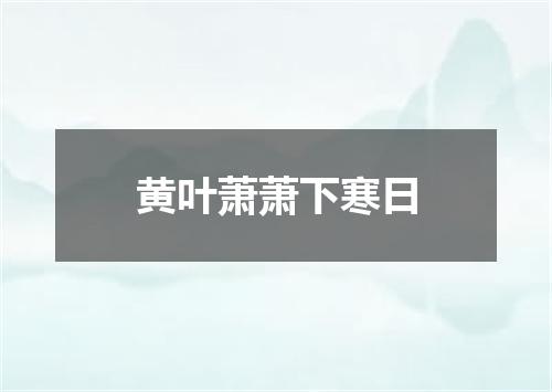 黄叶萧萧下寒日