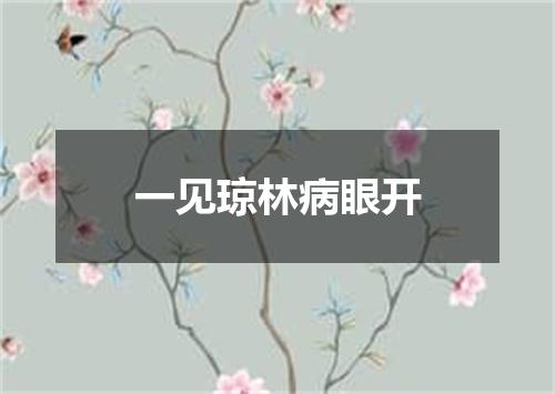 一见琼林病眼开