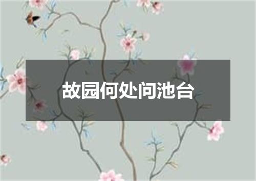 故园何处问池台