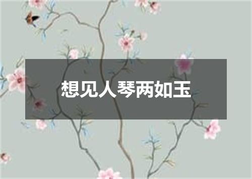 想见人琴两如玉