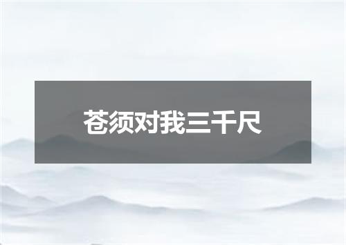 苍须对我三千尺