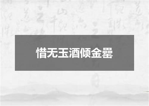 惜无玉酒倾金罍