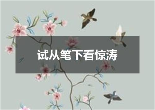 试从笔下看惊涛
