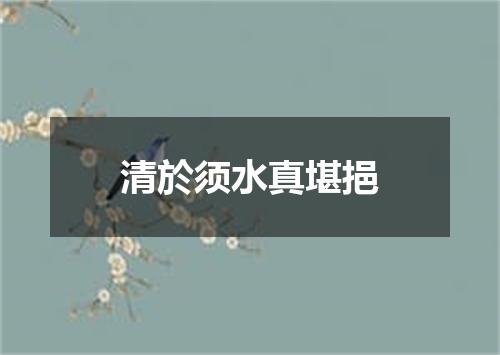 清於须水真堪挹