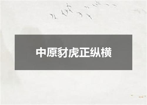 中原豺虎正纵横