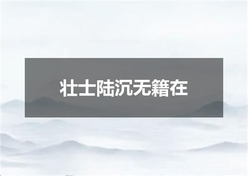 壮士陆沉无籍在