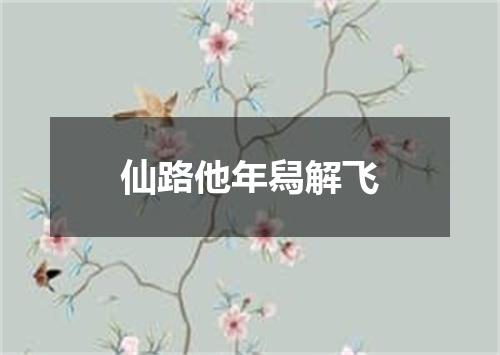 仙路他年舄解飞