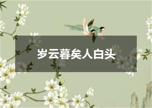 岁云暮矣人白头