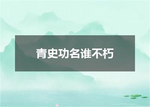 青史功名谁不朽
