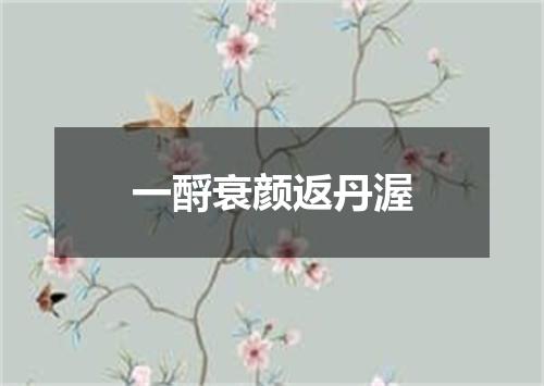 一酹衰颜返丹渥