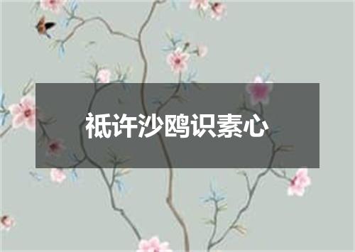 祗许沙鸥识素心