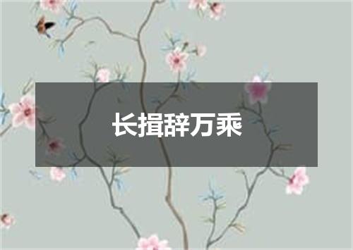 长揖辞万乘