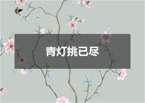 青灯挑已尽