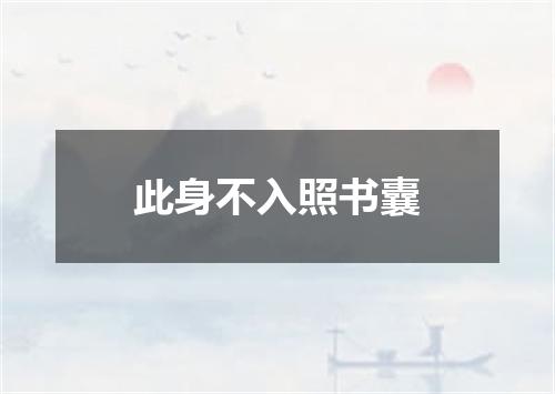 此身不入照书囊