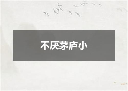 不厌茅庐小