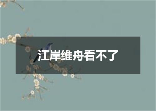 江岸维舟看不了