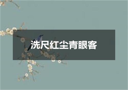 洗尺红尘青眼客