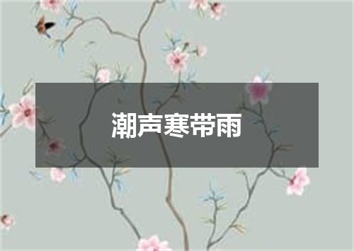 潮声寒带雨