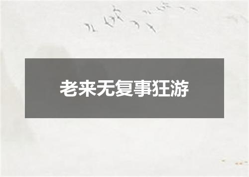 老来无复事狂游