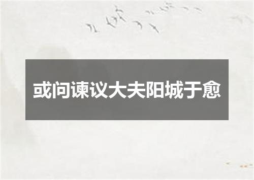 或问谏议大夫阳城于愈