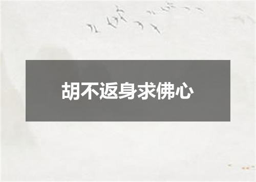 胡不返身求佛心