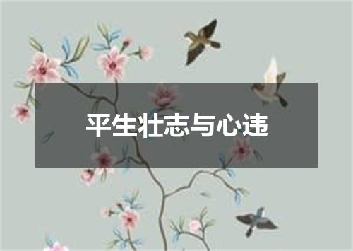 平生壮志与心违