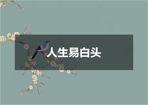 人生易白头