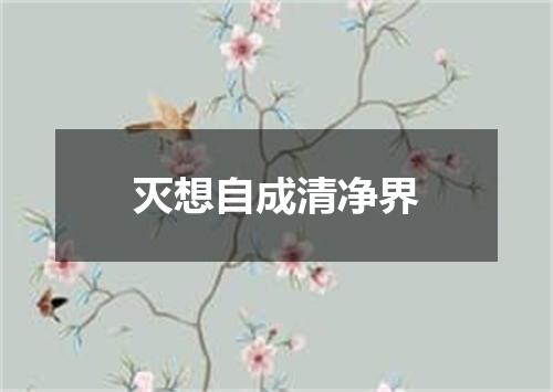 灭想自成清净界