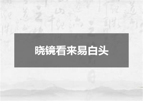 晓镜看来易白头