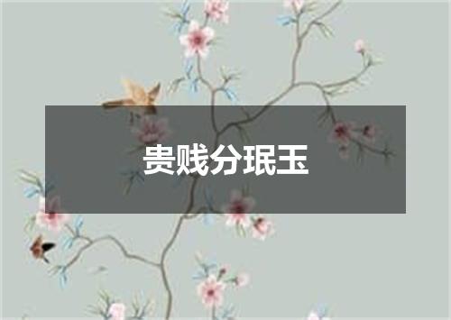 贵贱分珉玉