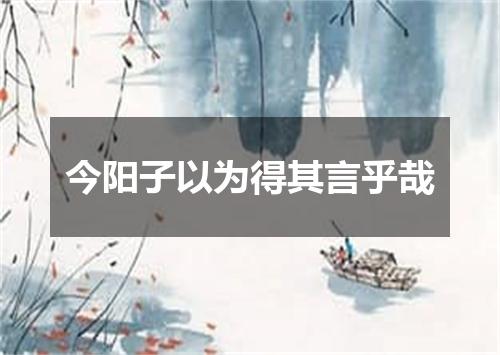 今阳子以为得其言乎哉