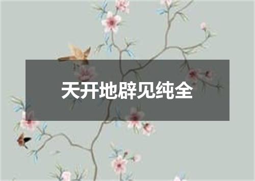 天开地辟见纯全