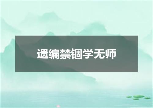 遗编禁锢学无师