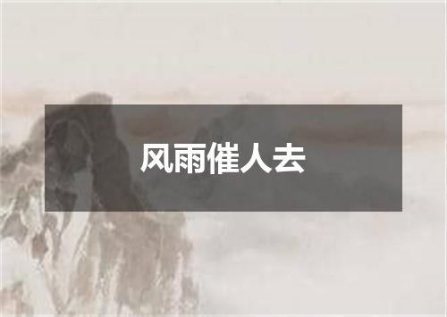 风雨催人去