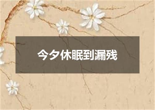 今夕休眠到漏残