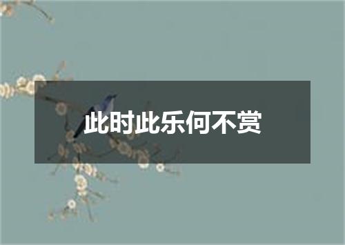 此时此乐何不赏
