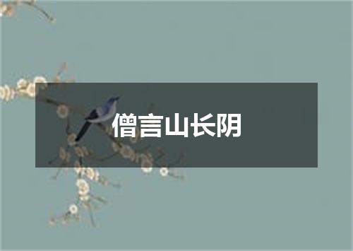 僧言山长阴