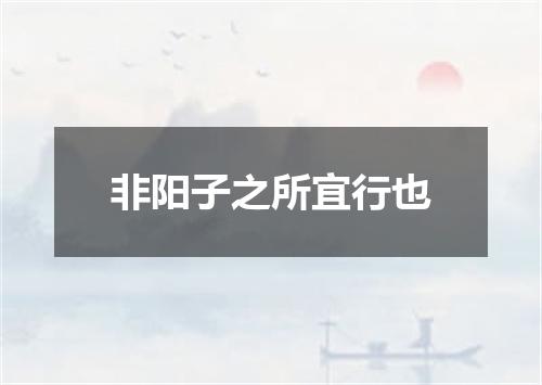 非阳子之所宜行也