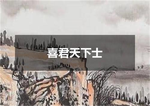 喜君天下士