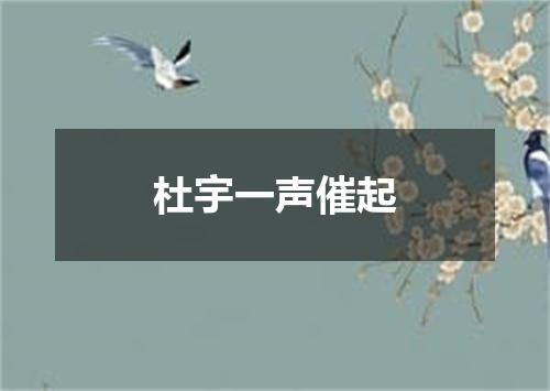 杜宇一声催起