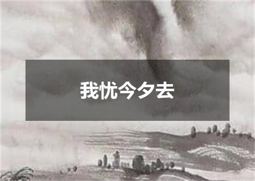 我忧今夕去