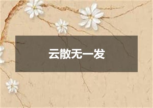 云散无一发