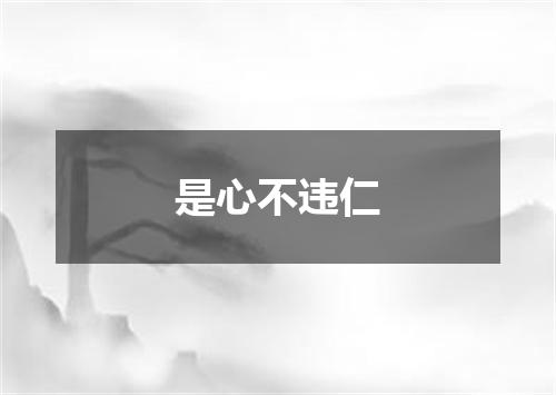 是心不违仁