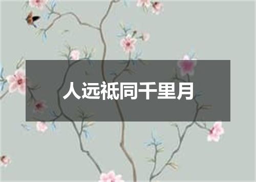 人远祗同千里月