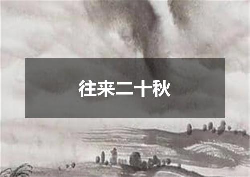 往来二十秋