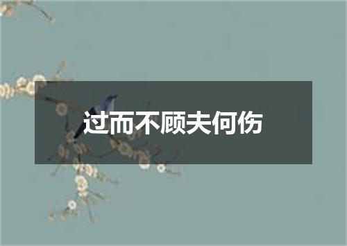 过而不顾夫何伤