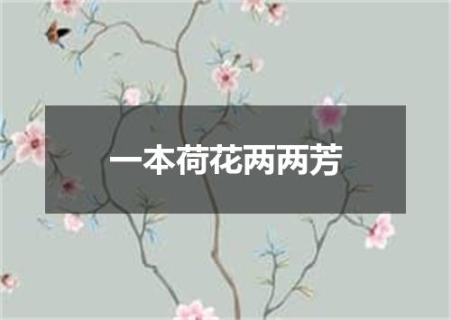 一本荷花两两芳