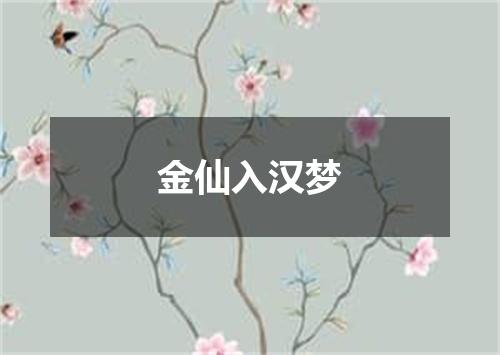 金仙入汉梦